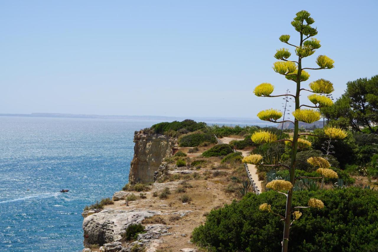 Carvoeiro Sol Seafront Apartment ภายนอก รูปภาพ